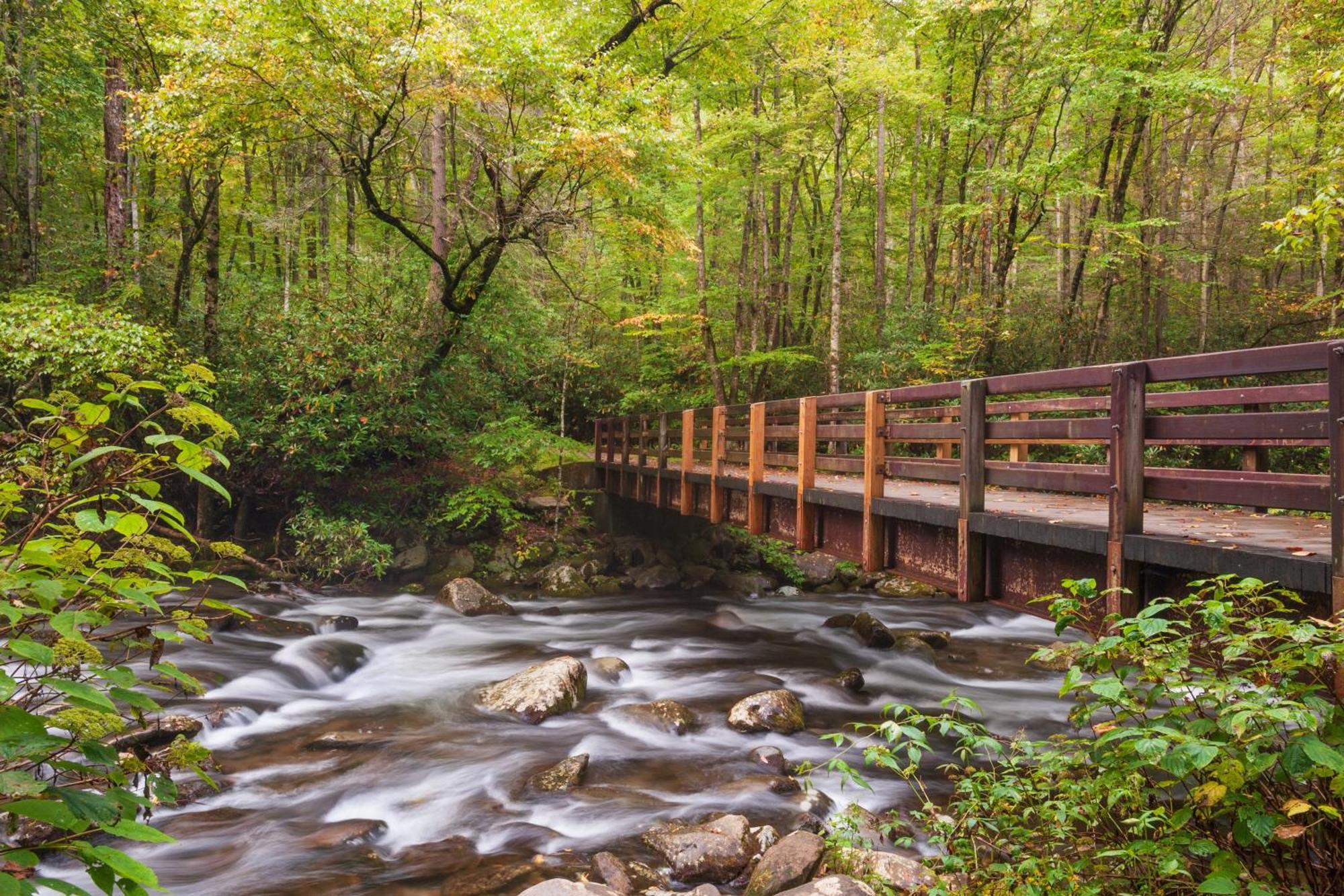 Papa Bear, Hot Tub, Wifi, 1089 Free Tickets Each Paid Day, Dollywood And More Sevierville Luaran gambar